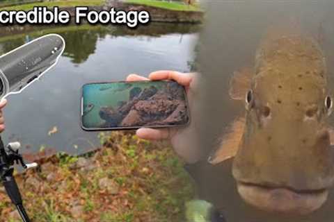 I Didn’t Expect What This Camera Recorded Underwater…Canfish Fishing Cam X
