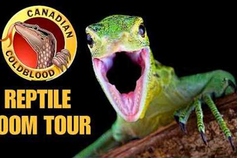 CANADIAN COLDBLOOD REPTILE ROOM TOUR 2025 | Rare Monitor Lizards, Rainbow Tree Snakes, and more!