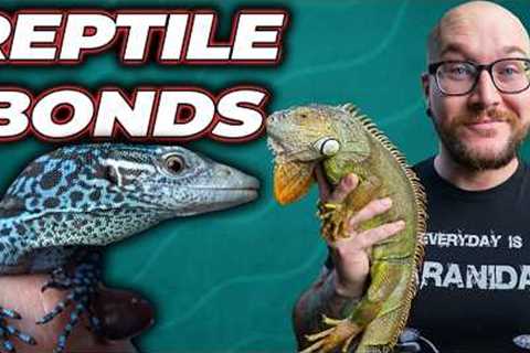 Top 5 Reptiles That Bond With Humans