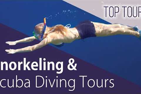 Snorkeling &amp; Scuba Diving in Costa Rica | Marine Life &amp; Ocean Adventures