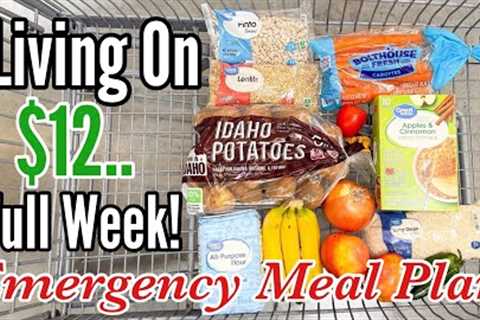 Eating on $12 a Week | Easy, Healthy &amp; Cheap Recipes for an Emergency Budget