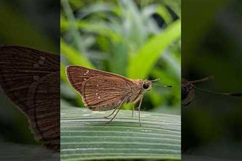 Creative Photography | Tips &amp; Tricks with Phone using Pro Mode 📸 | Mobile Photography Hacks 🔥