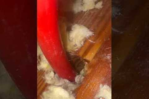 PEX Waterline Leak Repair