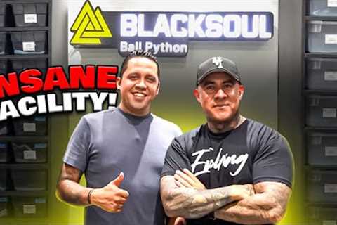 This Reptile Collection In México Is amazing!