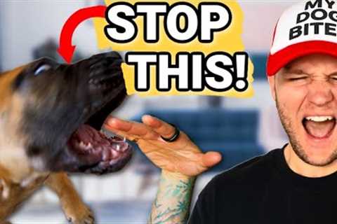 Puppy Training- How To Stop Puppy Biting Guaranteed! STOP Puppy Biting In Seconds!