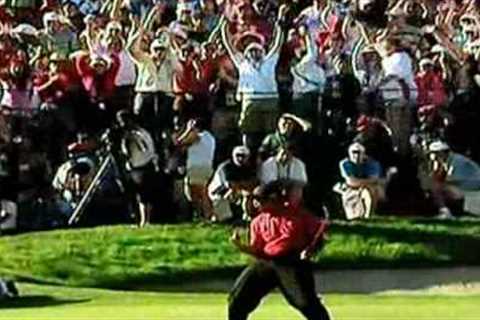 Is This The Best Tiger Woods Video Ever? [2014]