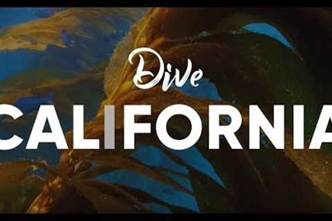 Scuba Diving in California