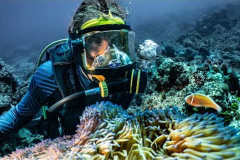 Scuba Diving In Our Own Private Paradise! (Expedition Drenched S1 Ep 52)