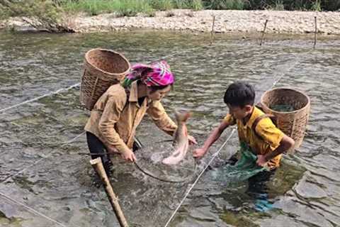 highland fish trap, techniques for setting fishing traps with hooks, harvesting stream fish for sale