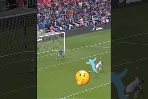 The Funniest Soccer Moment Ever Caught! ⚽️🤔