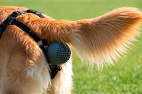 40 CLEVER Amazon Products For Your Pets!