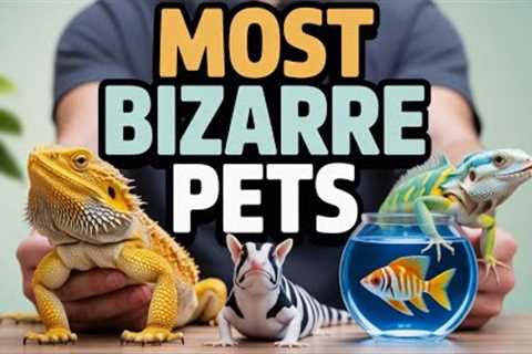 Top 12 Exotic Pets You Can Actually Own | Care Tips, Diet, and Setup Explained