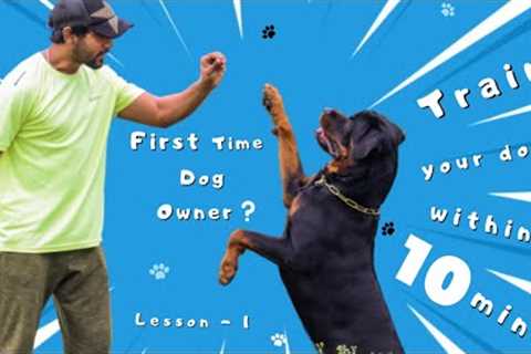 How to Train Your Dogs Basic Obedience in 10 mins | Dog Training Lesson 1 | Chatty Rotty [IN TAMIL]