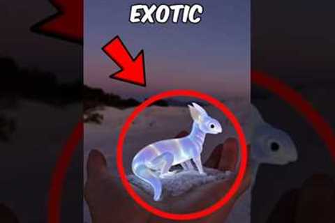 TOP 5 MOST EXOTIC PETS PEOPLE ACTUALLY OWN! #shorts #animals
