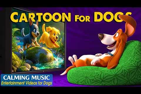 Dog Cartoon: Best Relaxing Videos for Dogs When Home Alone – Dog TV &amp; Anti-Separation Music for ..