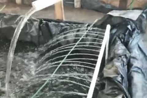 11/20/2025 Video#24 Pub ntseg/Feeding fish,  working progress 