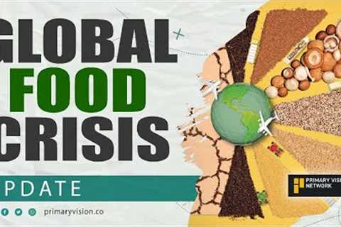Global Food Crisis Update