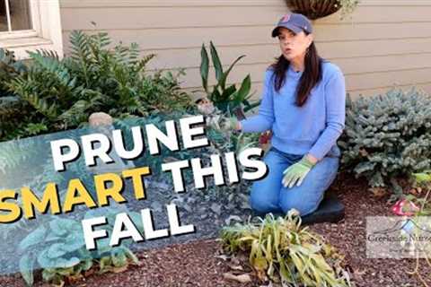 Fall Shade Garden Guide: Prune Smart, Plant Smart