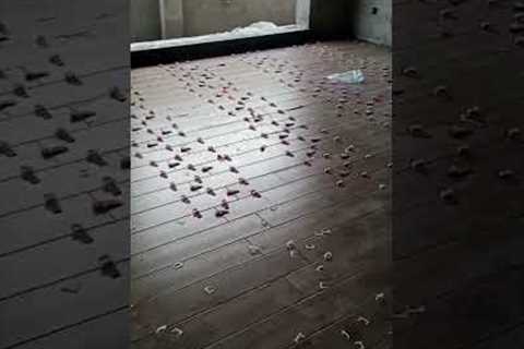 #tile #houserenovation #construction #building #homerenovation #renovation