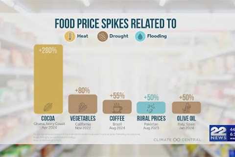 Extreme weather events drive up food prices, study shows