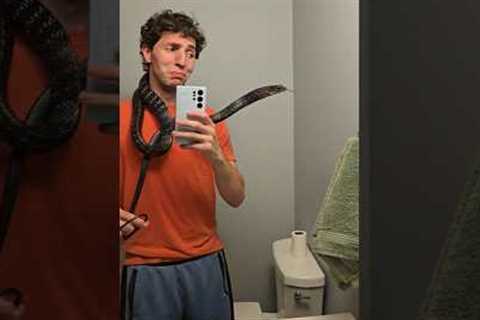 Just a little something to put me on edge. #reptiles #pets #snakes