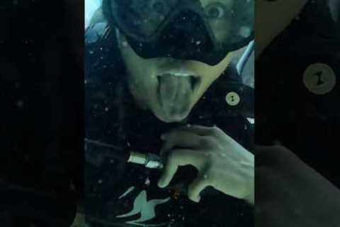 Sunday Funday! #diving #scuba #scubadiving #underwater #underwaterdiving #water #travel