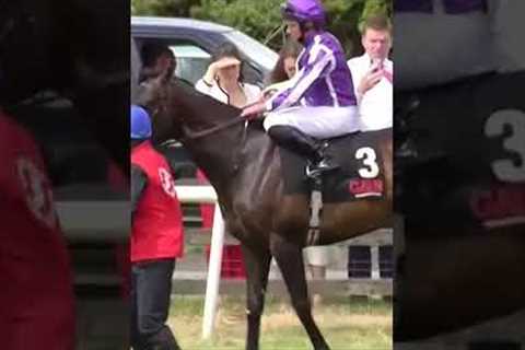 The horse who loves to misbehave!