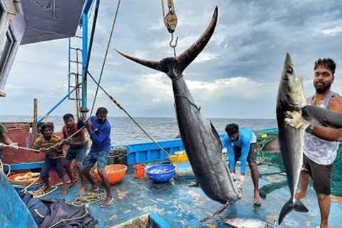 Ohhh! The First Day We Stayed In The Deep Sea &amp; Caught A Lot Of Tuna Fishes | Day-01 | S07-EP01