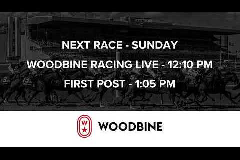 Woodbine Racetrack - Saturday, November 23, 2025