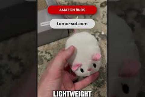Best amazon products in 2025