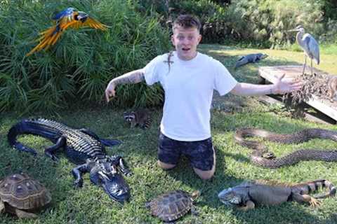 THE CRAZIEST BACKYARD REPTILE ZOO!