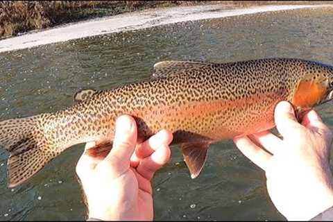 I'm BAAACK!! FLY-FISHING THE UPPER DELAWARE (Day 1)