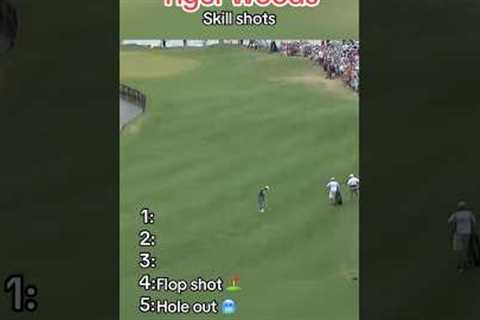 Top 5 Tiger Woods golf shots - Number 5 holeout from long