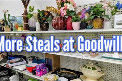 🛍Pre-Thanksgiving Steals at Goodwill! Thrift with Me &amp; Haul 2025