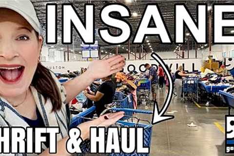 INSANE Goodwill Bins Thrifting! My BIGGEST Thrift Haul EVER 