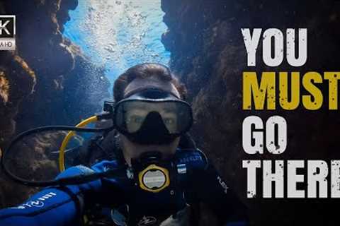 Top13 Must-Dive Sites in Roatán-Honduras 2025 | Ultimate Underwater Adventure in the Caribbean in 4K
