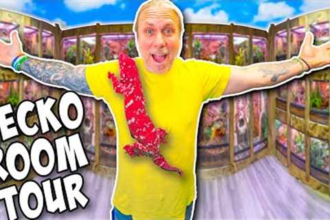 Cage By Cage New Gecko Room Tour!