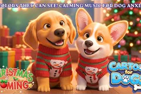Christmas Cartoons for Dogs, in Colors they can See ❄️🐶 Ideal for Hyperactive Dogs 🎵