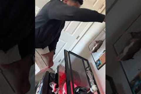 Feeding pet snake goes wrong 🐍😂😂😂 #funny #helpmemakethismakesense #snakes #animals #lilcrank