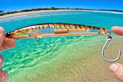 Beach fishing Australia for food