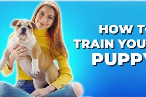 How to train your puppy | Dogs tips and tricks | Animals Goofy