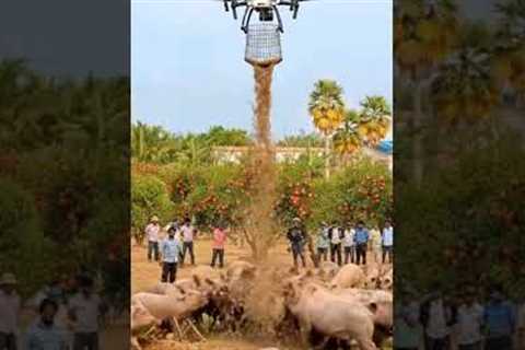 Smart Farming with Drones | Feeding Animals Using Drone Technology!