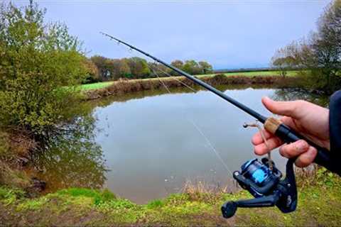 Jigging Worms For Perch On The Canal And Pond!