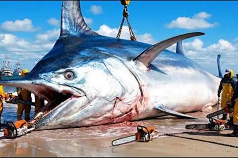 The 50-Ton Giant Swordfish Catch – Extreme Longline Fishing Documentary