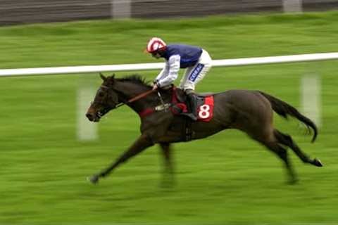 Sonic Pioneer 25/1 for Triumph Hurdle following taking debut | Racing TV