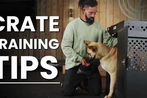Top Tips for Crate Training