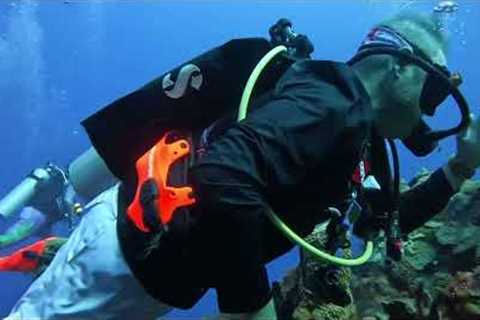 Amazing oceans scuba diving trip