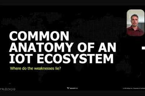 Peeling Back the Plastic: Finding 0Days in IoT Devices