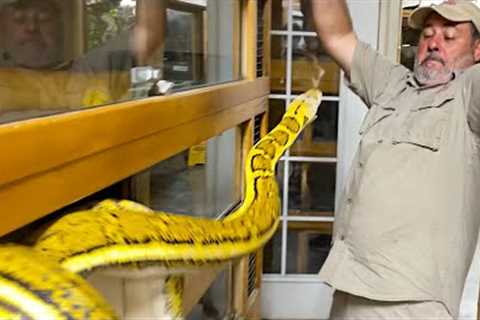 (SNAKE STRIKES ME) 🐍 EVERYTHING WENT WRONG😅