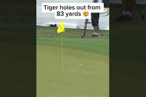 Beautiful hole out from Tiger #golf #shorts